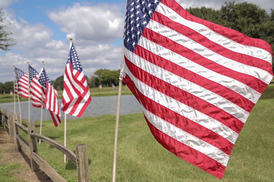 Row of USA flags with a field and pond in the background