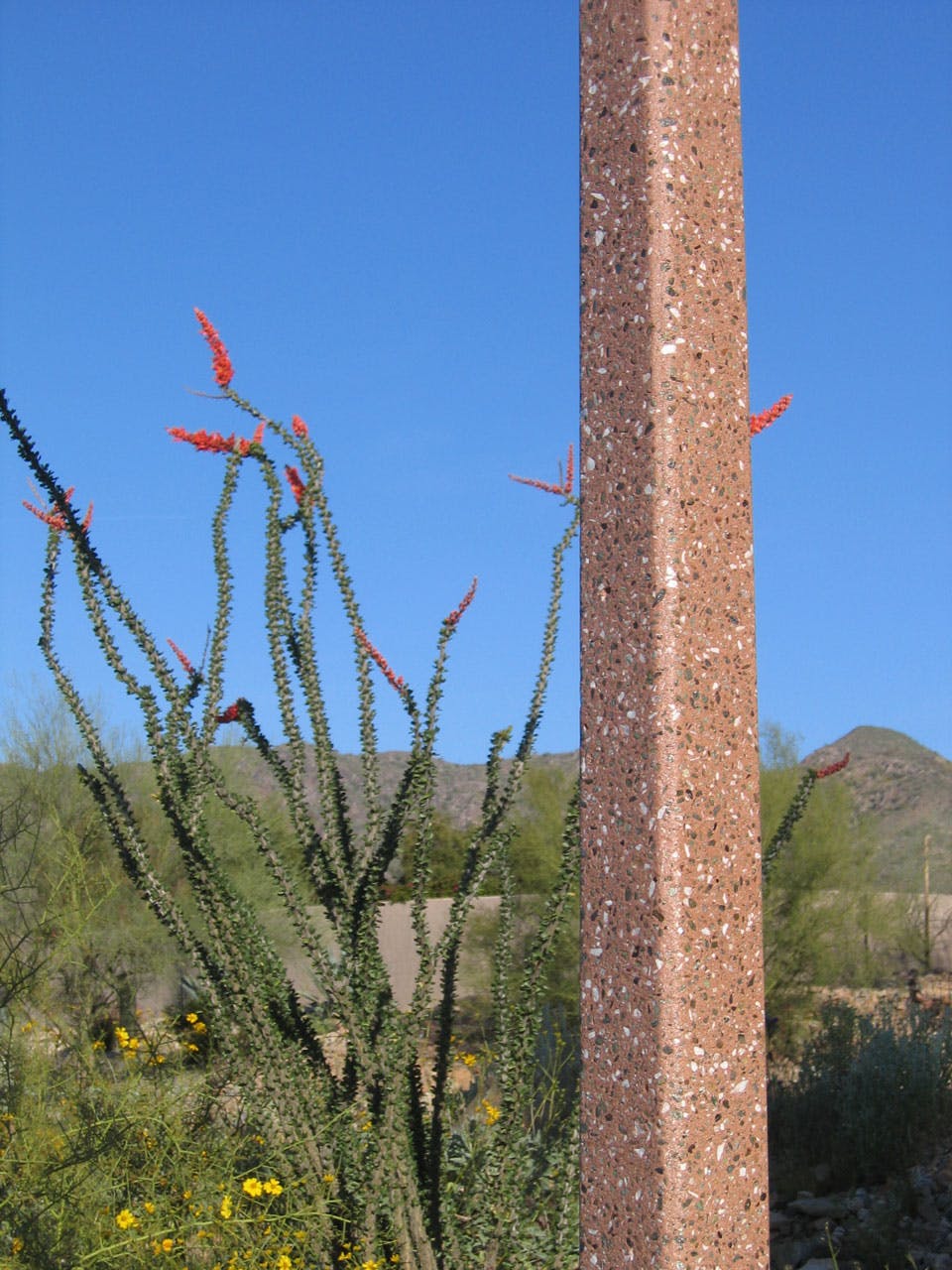 Closeup texture of sqaure pole in Arizona Paradise Valley