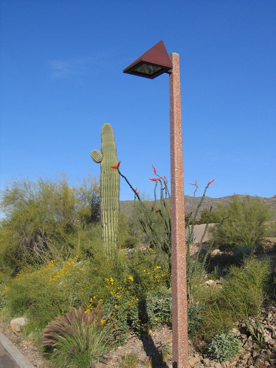 Sqaure pole in Arizona Paradise Valley