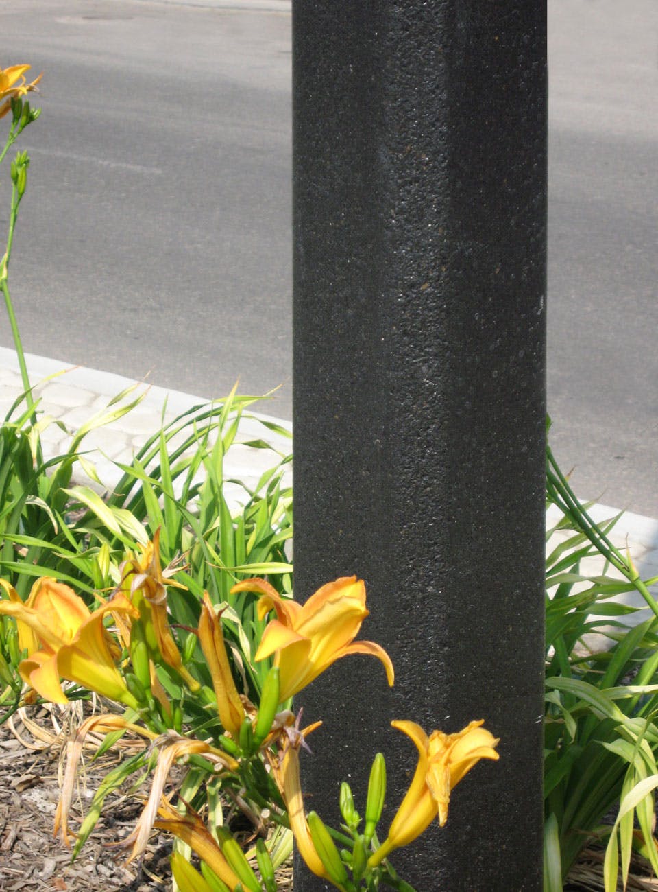 Closeup of texture on Square pole in Riverpark