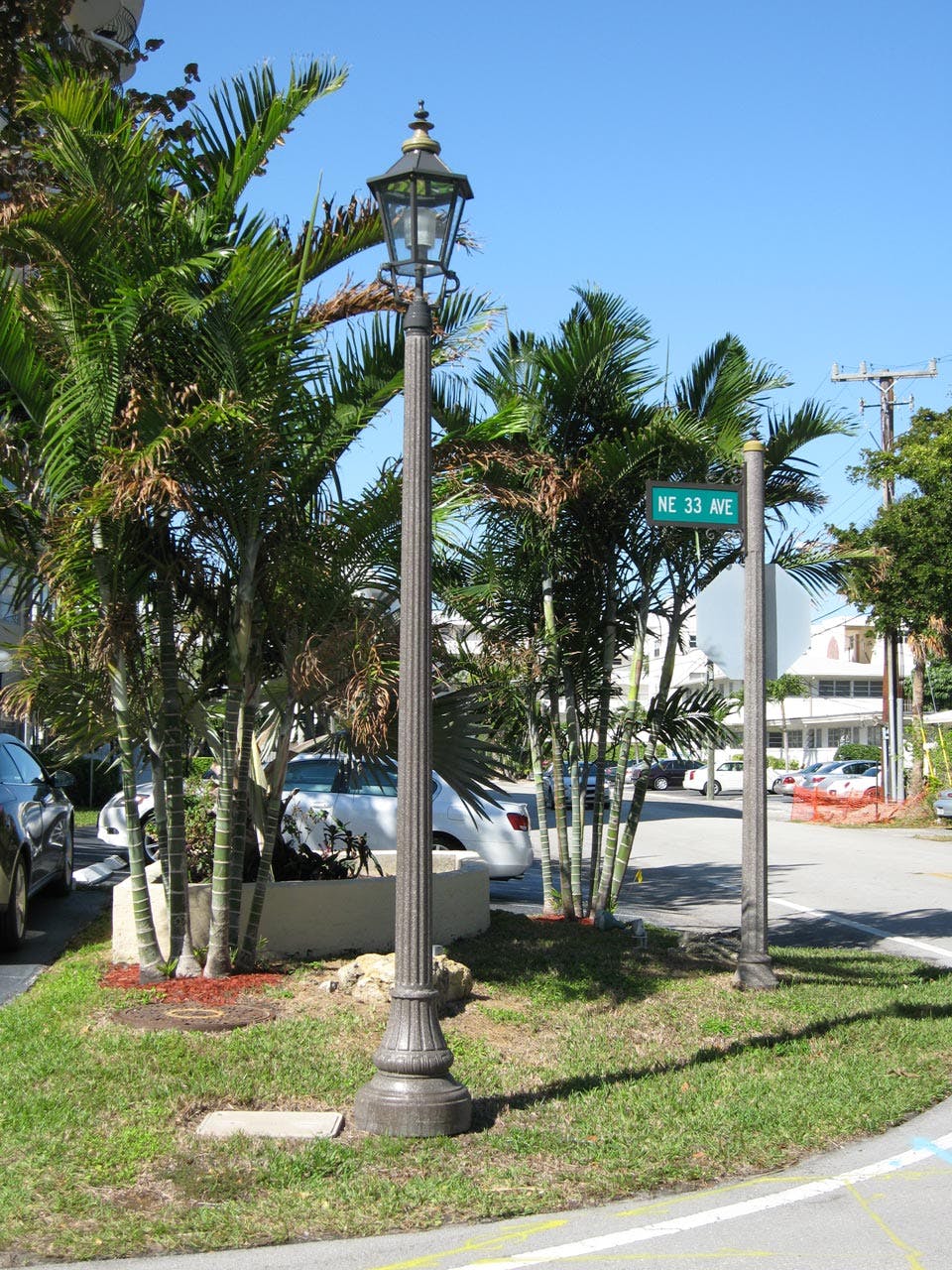 Street light pole and matching street sign pole