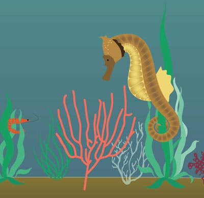 Illustration of a seahorse under the sea