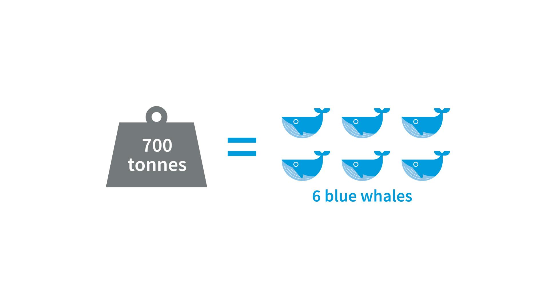 A graphic image comparing a seven hundred tonne weight to six blue whales